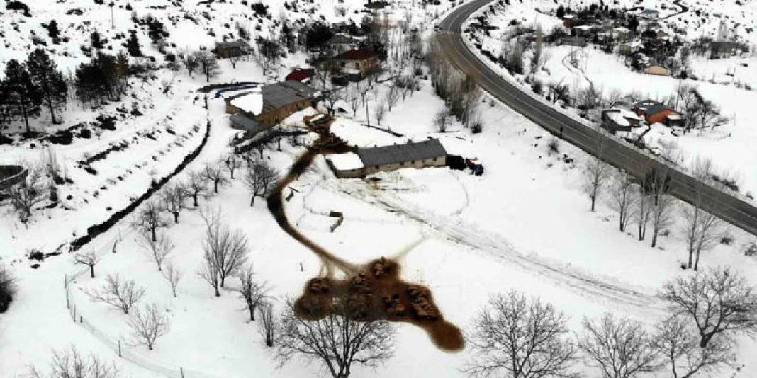 Kuzuların güvenliği için uykusuz kalıyorlar! Soğuk hava besicileri vurdu: Gece boyu nöbet sürüyor 3